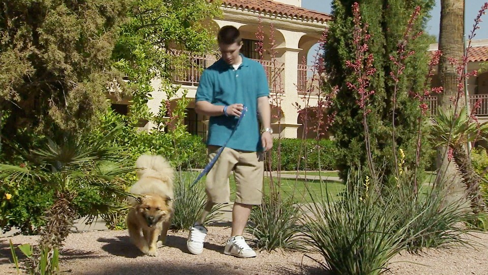 Chandler taking a dog for a walk.