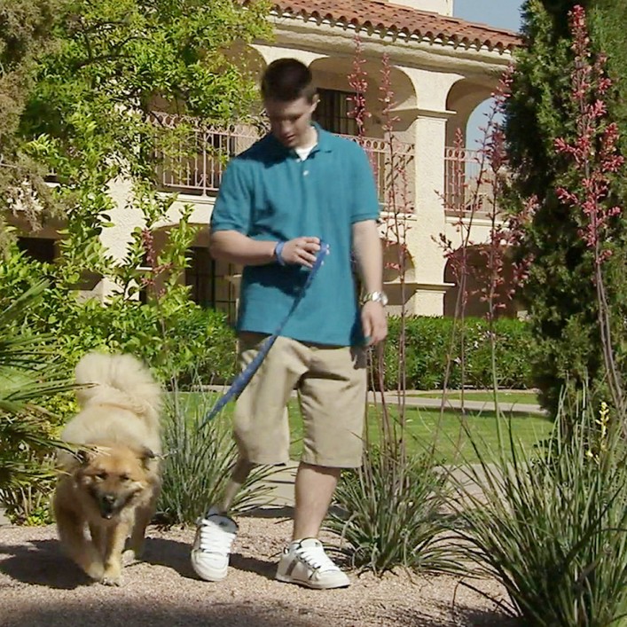 Chandler walking a dog on a leash.