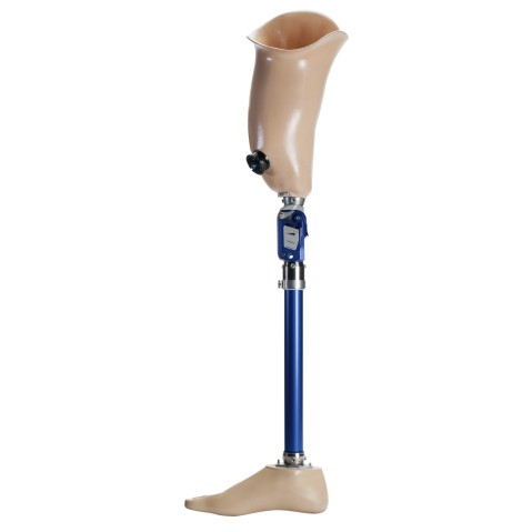 Prótese transfemoral montada com o pé protético e a articulação de joelho Aqualine