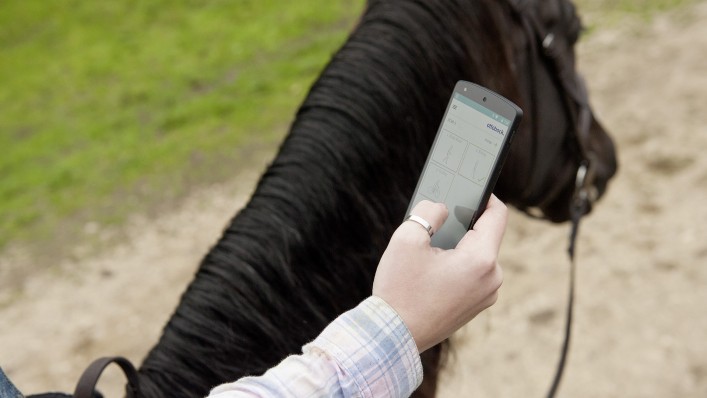 : A person on a horse uses the Ottobock Cockpit app on their smartphone. 