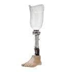 Transtibial prosthesis with transparent socket and 1C60 Triton prosthetic foot. The dynamic vacuum system is visible at the distal end of the socket (away from the body). 