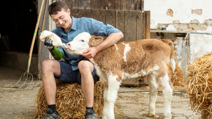 A Myo Plus user feeding a calf. He is wearing the bebionic Skin Silicone glove over the bebionic hand.