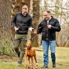 utilisateur technologies emboiture se promene avec un ami et son chien
