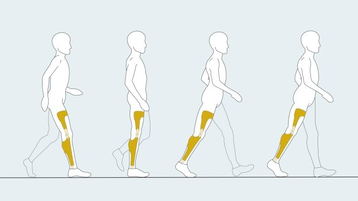 First phases of E-Mag gait cycle.