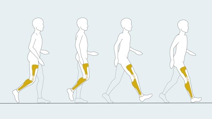 Last phases of E-Mag gait cycle.