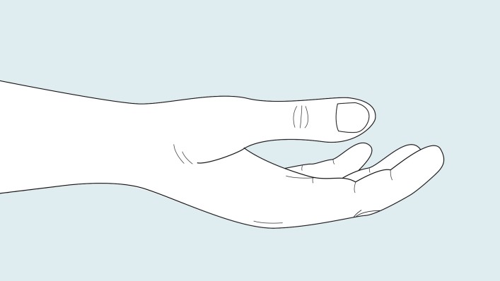 Schéma fonctionnel de la prothèse de main Michelangelo, position naturelle