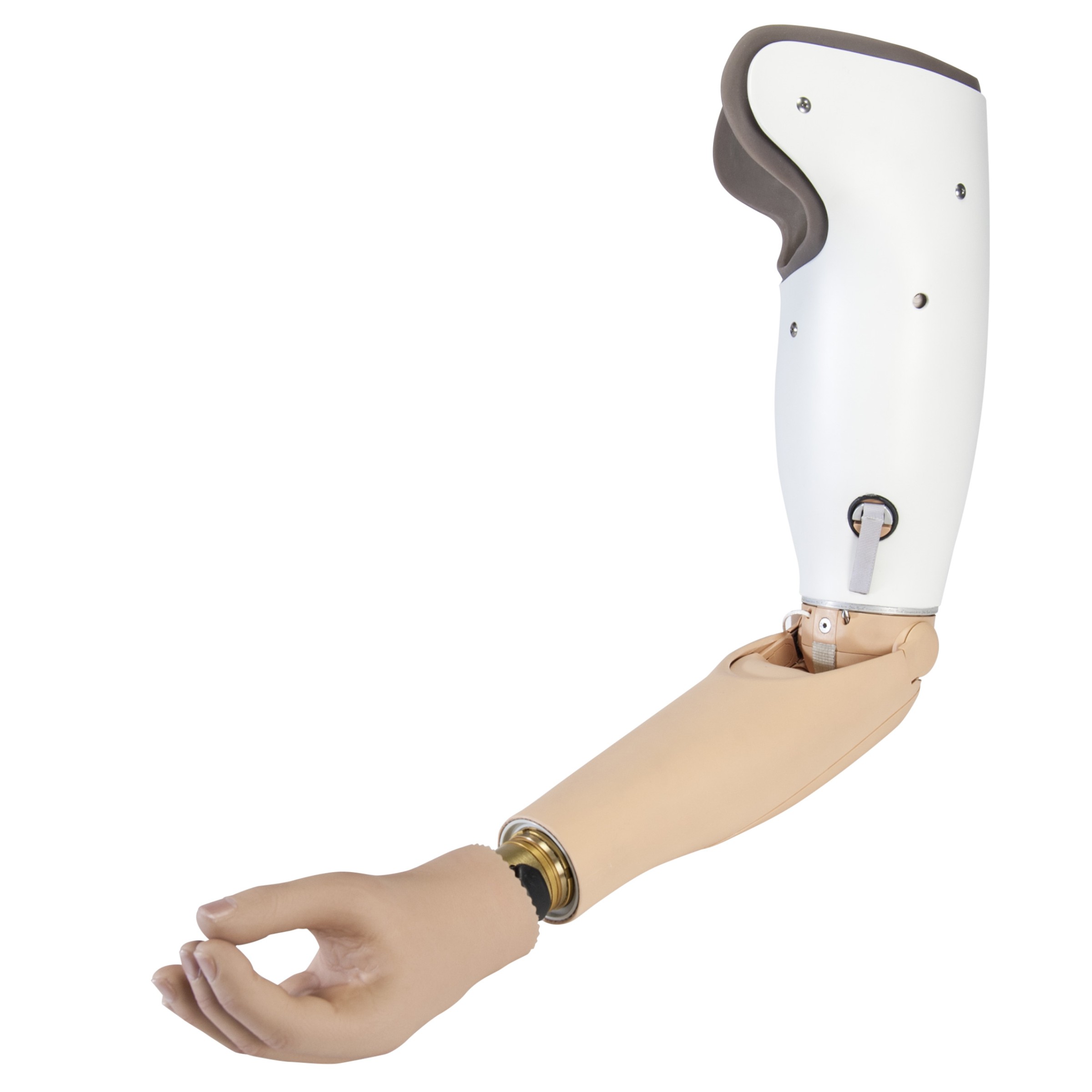 Image result for prosthetics spots
